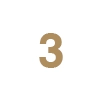 Premarital coaching session 3 icon
