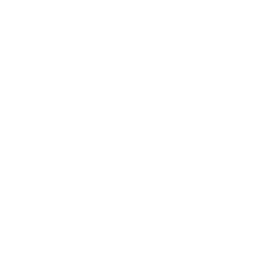 Knowledgeable and culturally competent guides icon